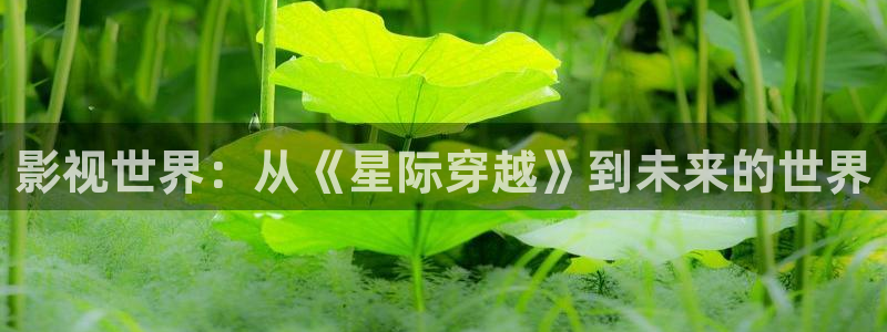 樱花影院 在线观看